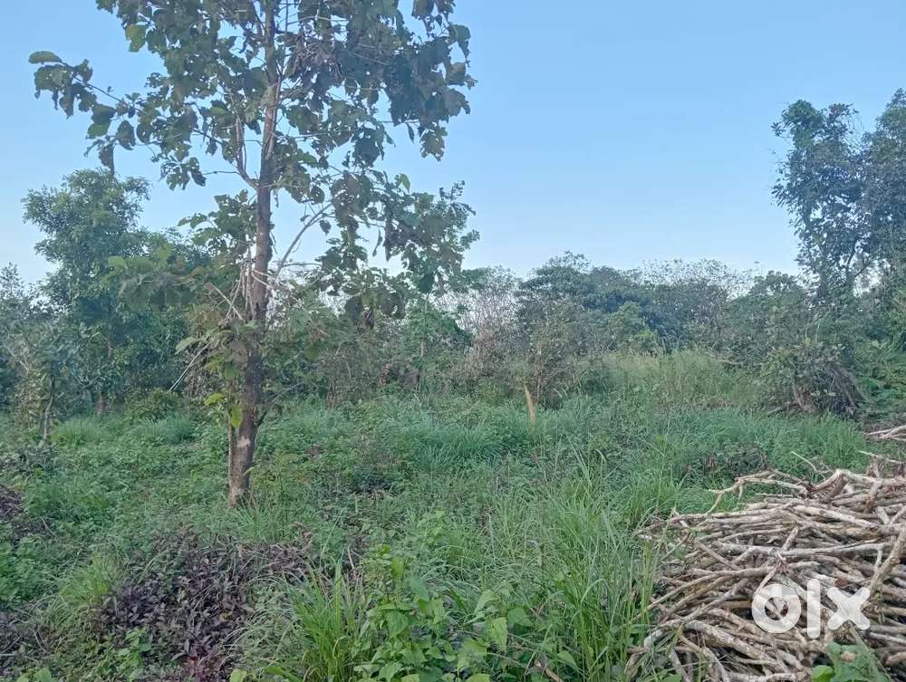 Plot for sale 20 cent