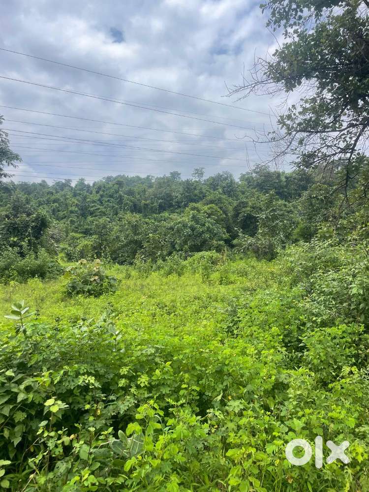 Fully Gatted Community Agriculture Land