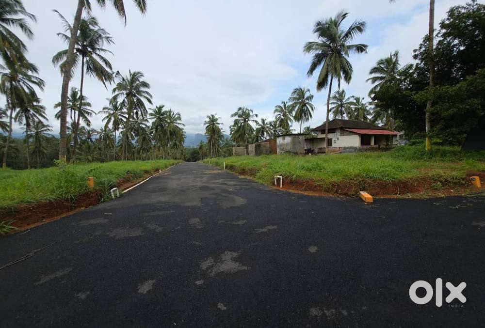 Plot for sale in Viyyakurissi, Mannarkkad