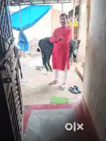 Gausala me kaam krne ke liye ladke ki aawaskta
