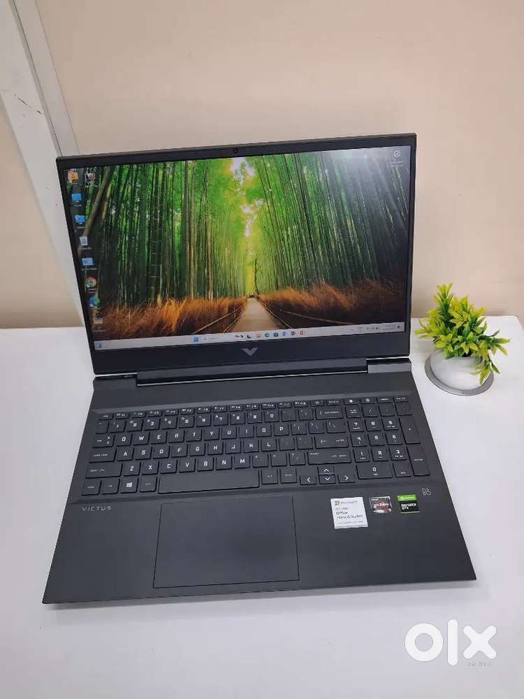 HP Victus / AMD Ryzen 5 5600H