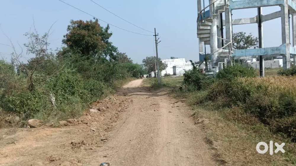 Open Plot at Prime Highway Location – ₹2,90,000