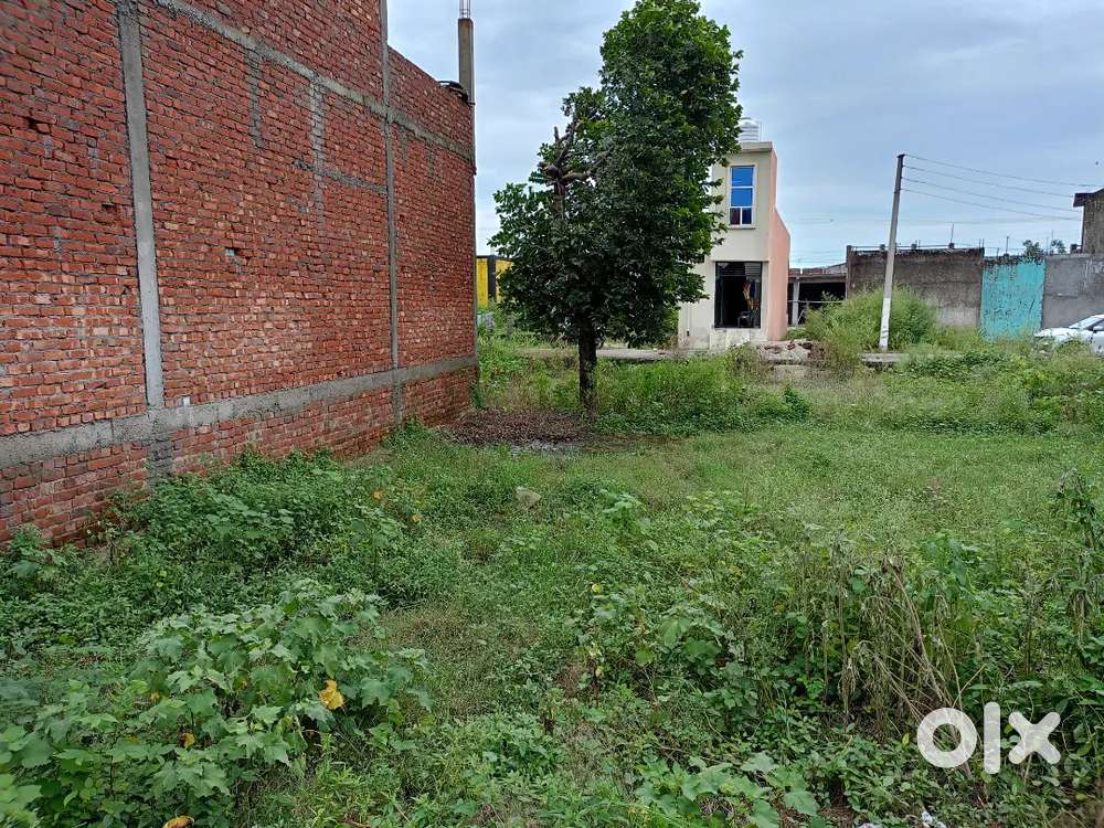 Plot for sale in roshnabad Khalsa calony . Price 20 Lac approx