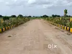 Own a Plot in Pericherla – Near Amaravati & Guntur City