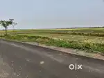 সঞ্জয়  BDN