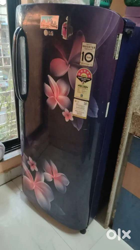 LG 180L 5-Star Dual Inverter Refrigerator Excellent Condition.
