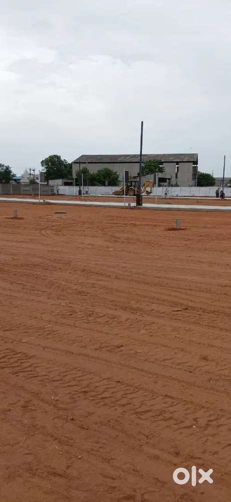 PANJAPUR TO PUDUKOTTAI NH
   *BHARATHIDASAN UNIVERSITY OPPOSITE