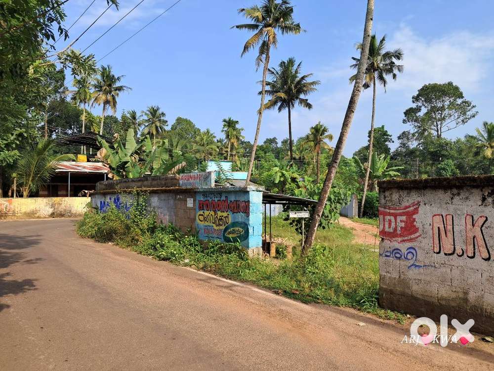7 cent സെന്റ്സ്ഥലംവീട് വക്കാനും  കടവക്കാനും നല്ല  Residential area