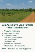 8.15 Acre Farm Land for Sale – Near Gauribidanur