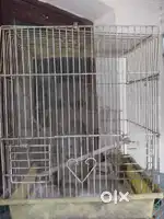 Birds Cage