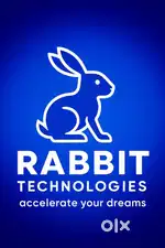 Rabbit Technologies (Website and Mobile Application developers)