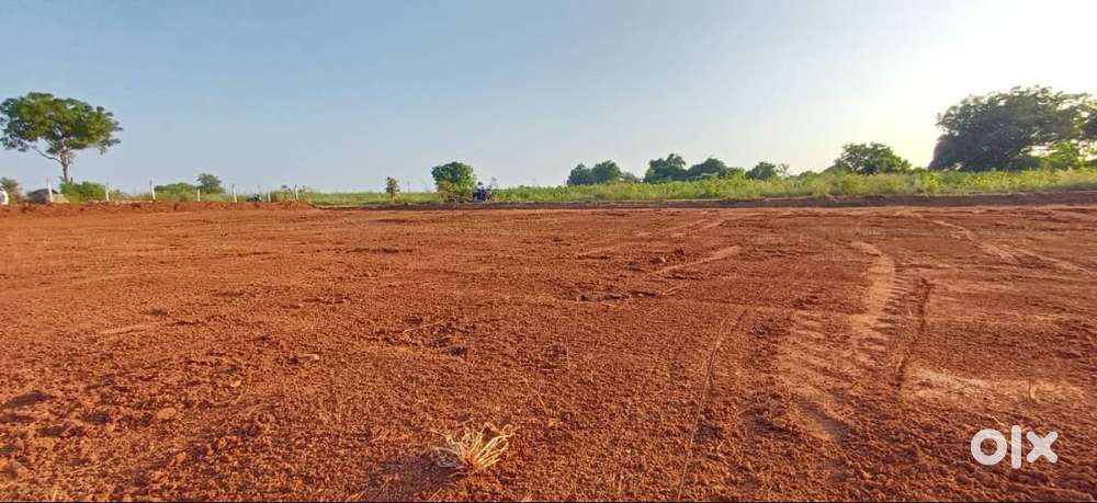 Clear Title,Boundary,Road Aceess,10 Guntas Agriculture land for sale