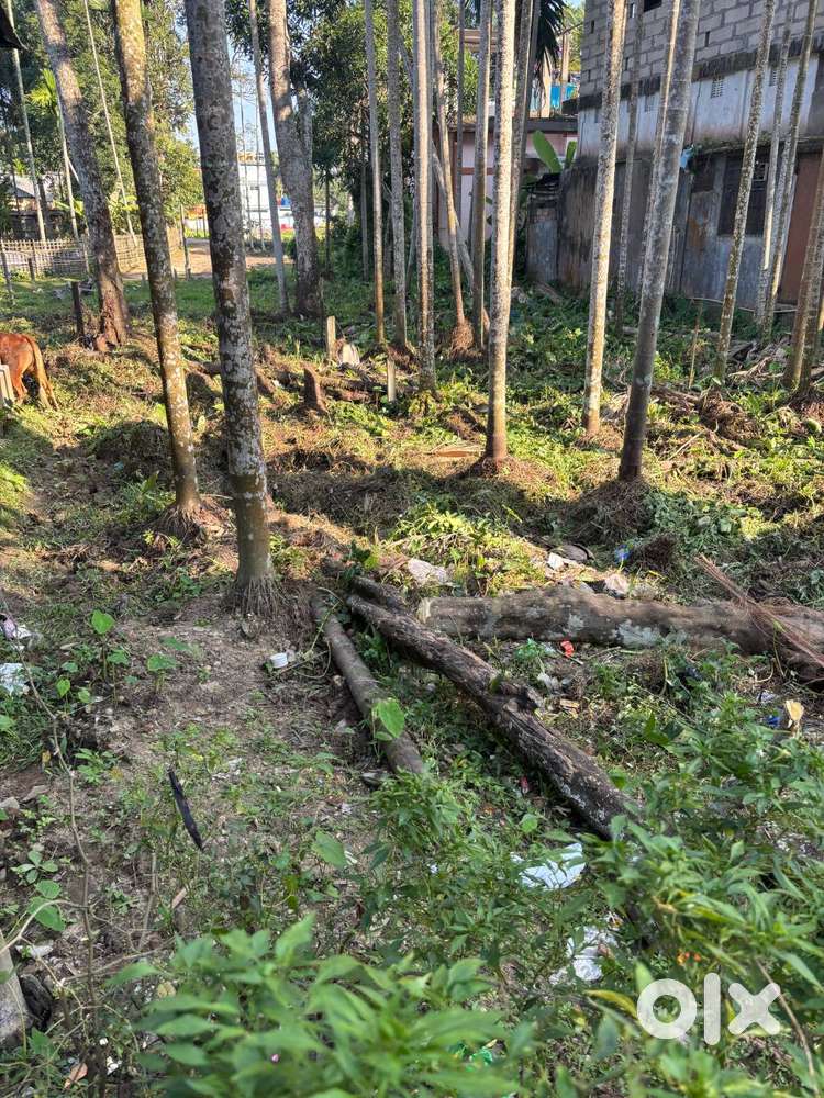 3 Gonda Land in a Prime Location of Dharmanagar, Tripura
