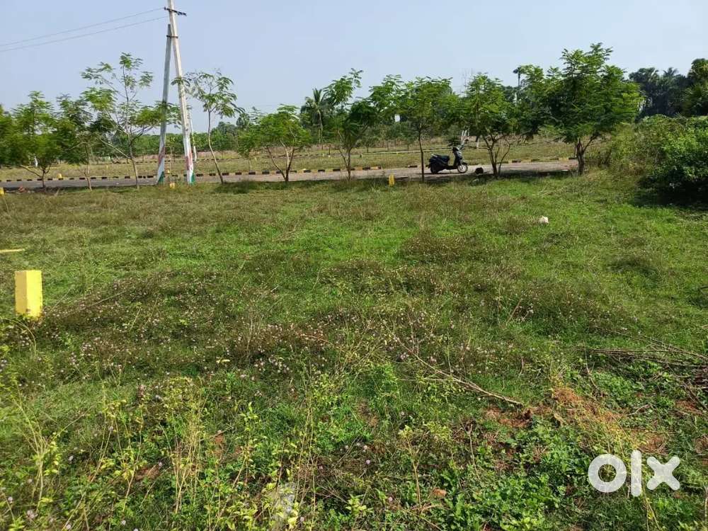 సేల్ చేయబడును తగరపువలస  Near Raghu engineering college బ్యాక్ సైడ్