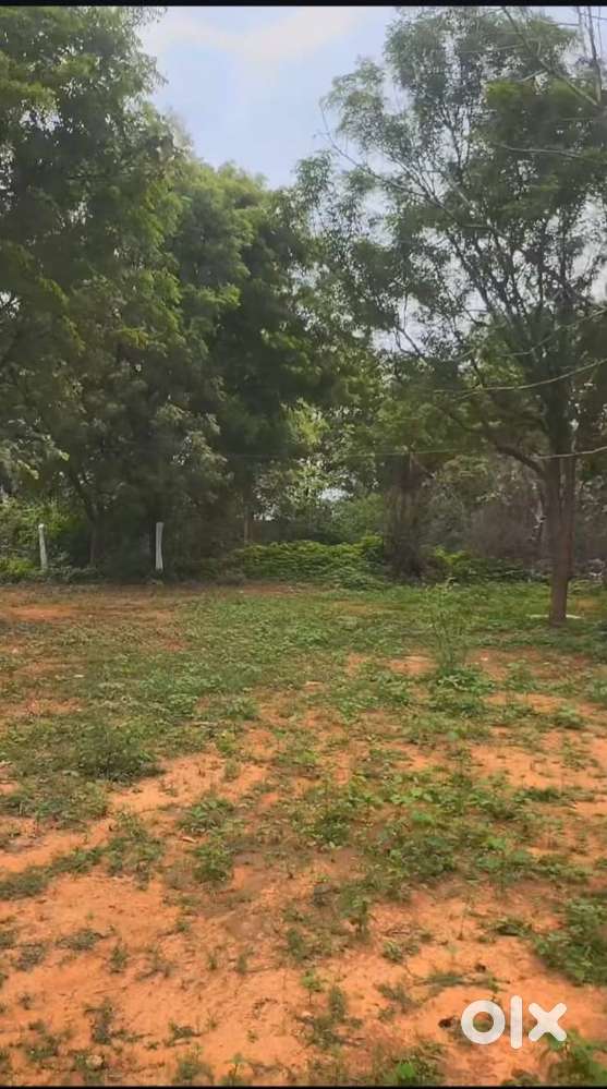 500 sq yd plot for sale at Tondpally village,Shamshabad for farmhouse