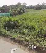 3bighas land near nalbari medical per kotha 25L