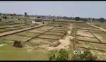 Rajgir me cricket stadium ke najdik me plot lene ke liye contact kare