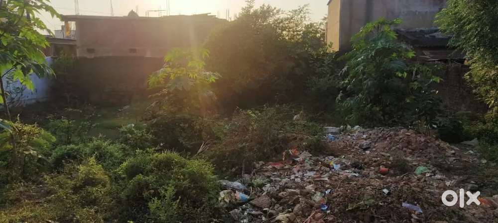 Plot for selling length50 and breath60