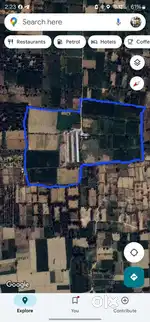 184 bigha farm land