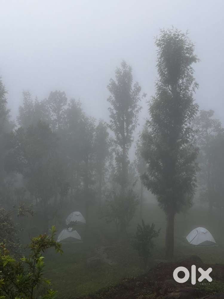 Looking for all rounder chef kodaikanal resort