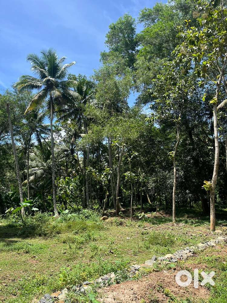 4.7 cent for sale, 2,40,000 per cent