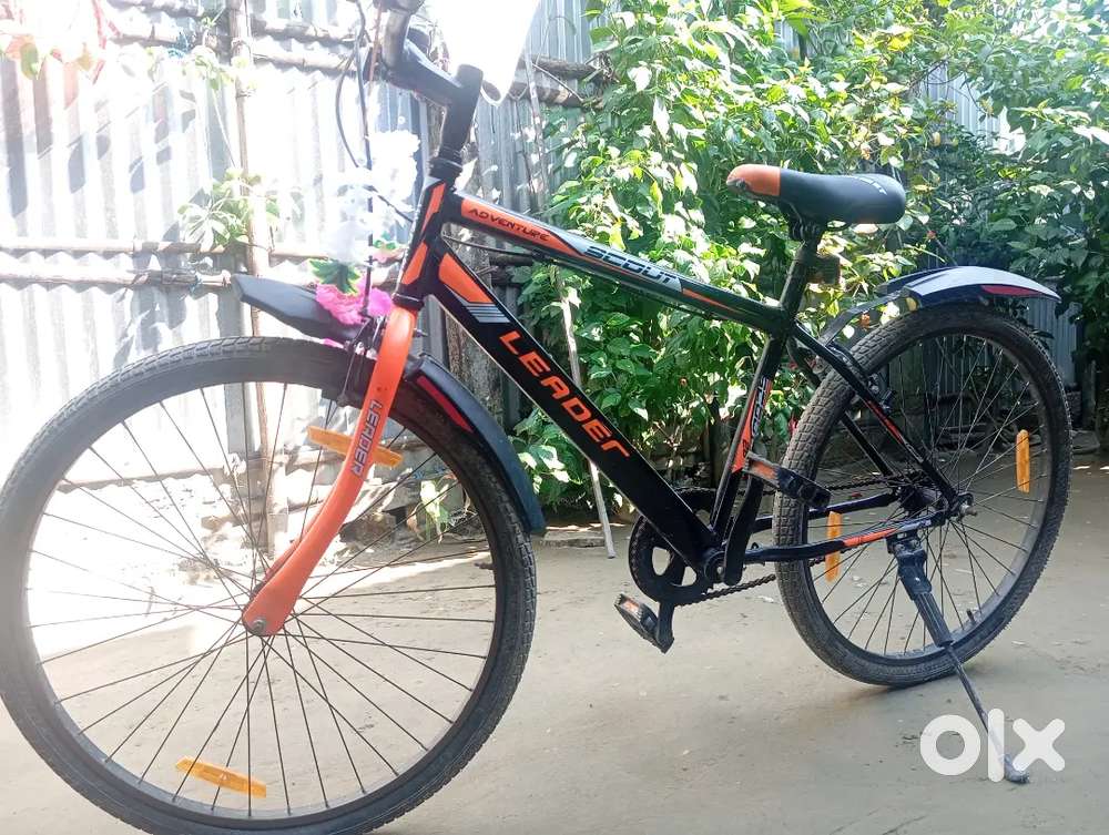 New cycle 4 months old, no problem