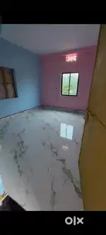 Need room mate