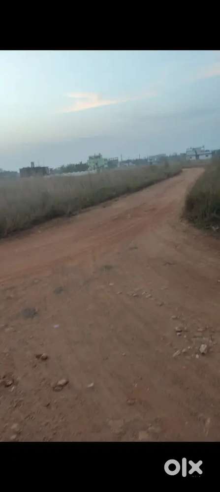 Oxford College 1 kmSundarpada to 8km janati to 3 km