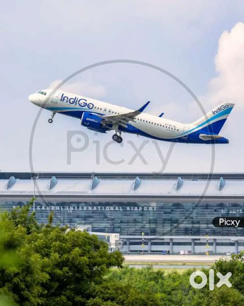 Indigo Airlines jobs /Vacancy for Airport Ground staf / Driver / Crew