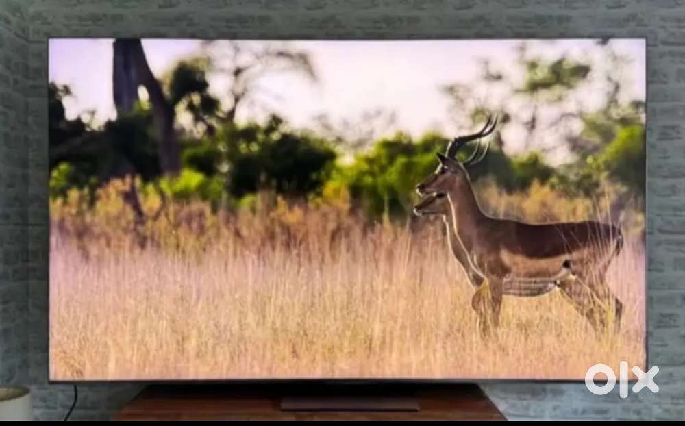 Offer New Led tv 50inch 55 40 42 43in 32 24 Android All Size available