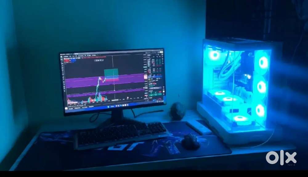 Asus, 2 months, computer machine