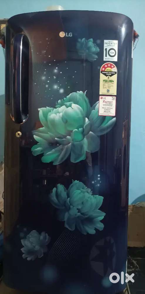LG Fridge 185L