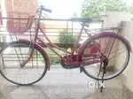 Brand new cycle