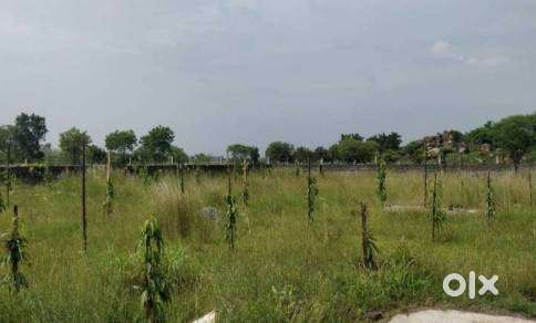 Plain land