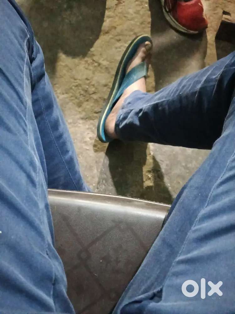 Muja gadi clani ate he