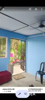 Assam type house