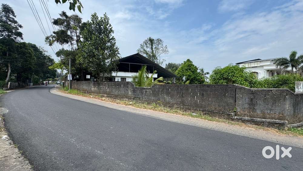 15 cents residential plot for sale at Vikasavani Kakkanad
