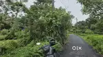 ഒന്നര ഏക്കർ സ്ഥലം തുറവൂർ കിഴക്കുവശം വളമംഗലം 1 cent ലക്ഷത്തി 25000രൂപ