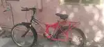 Cycle of 7 years old
