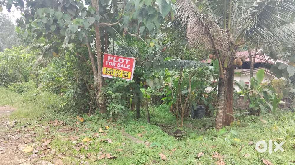 Total 20ncent. Each  1ncent 3 laksh.