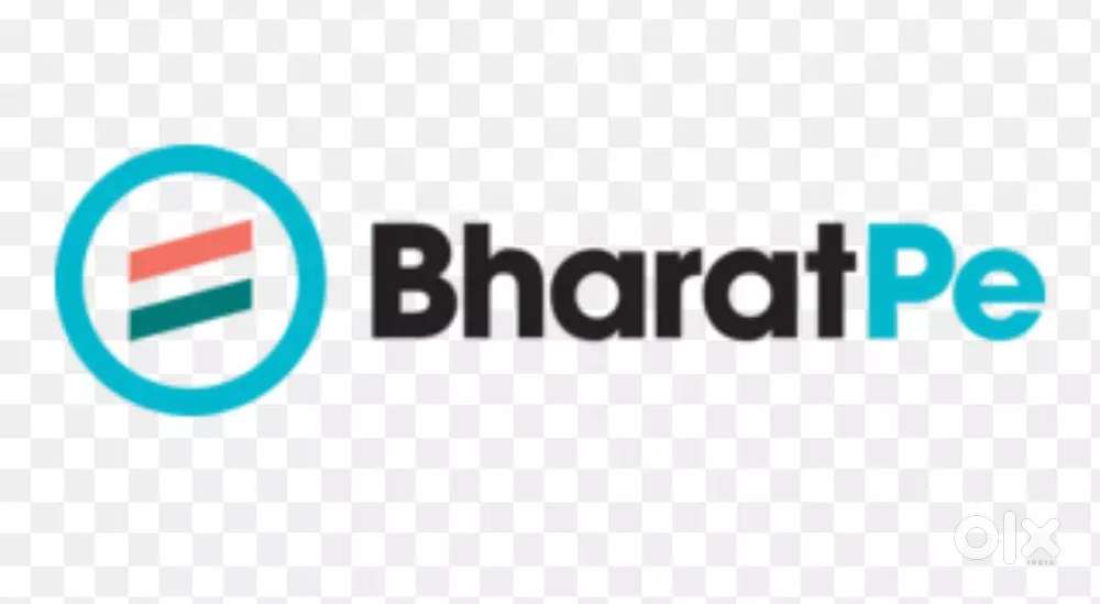 Bharat pe  Resilient innovasations