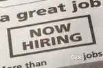 Vacancy in indigo Airlines urgent hiring apply fast