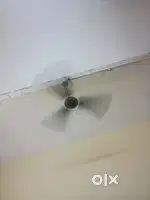 Ceiling fan