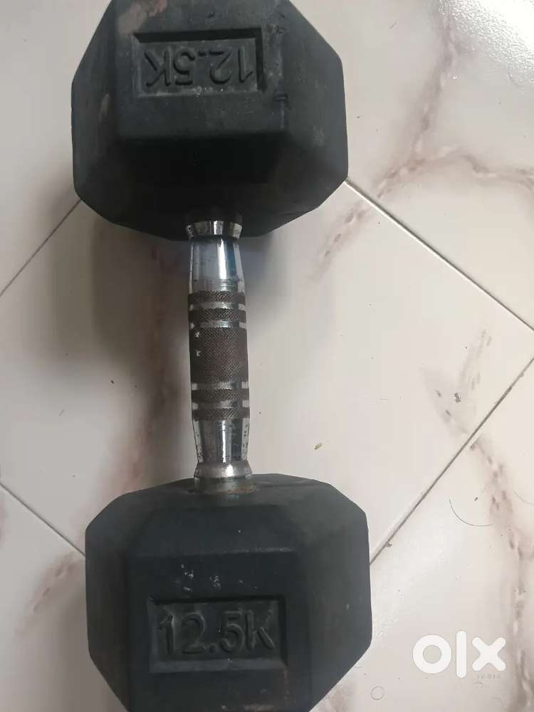 Dumbbell weight 12.5 kg (1 pic)