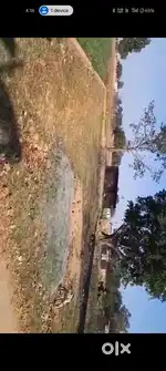 Land sale  dala dili