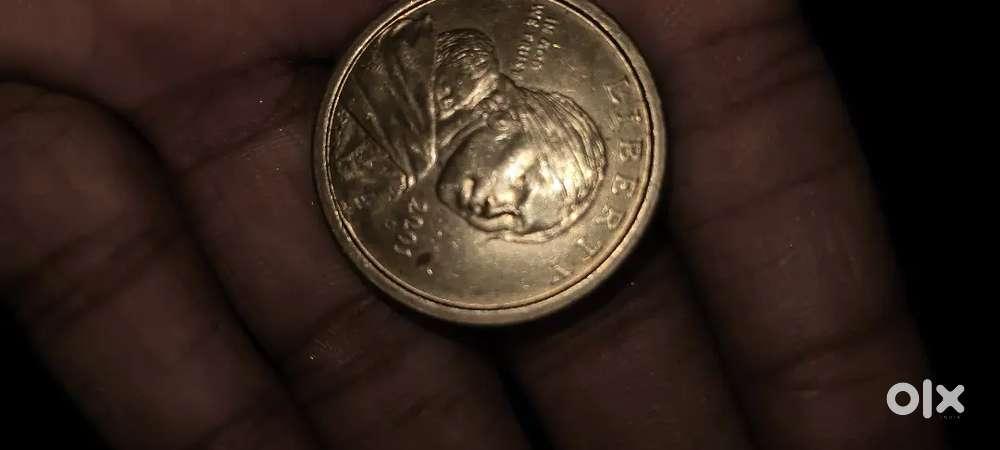 Rare USA Liberty one dollar coin