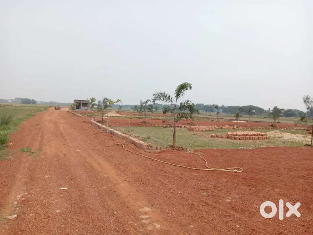 If you want to invest in land for high return than Bank & Mutual fund