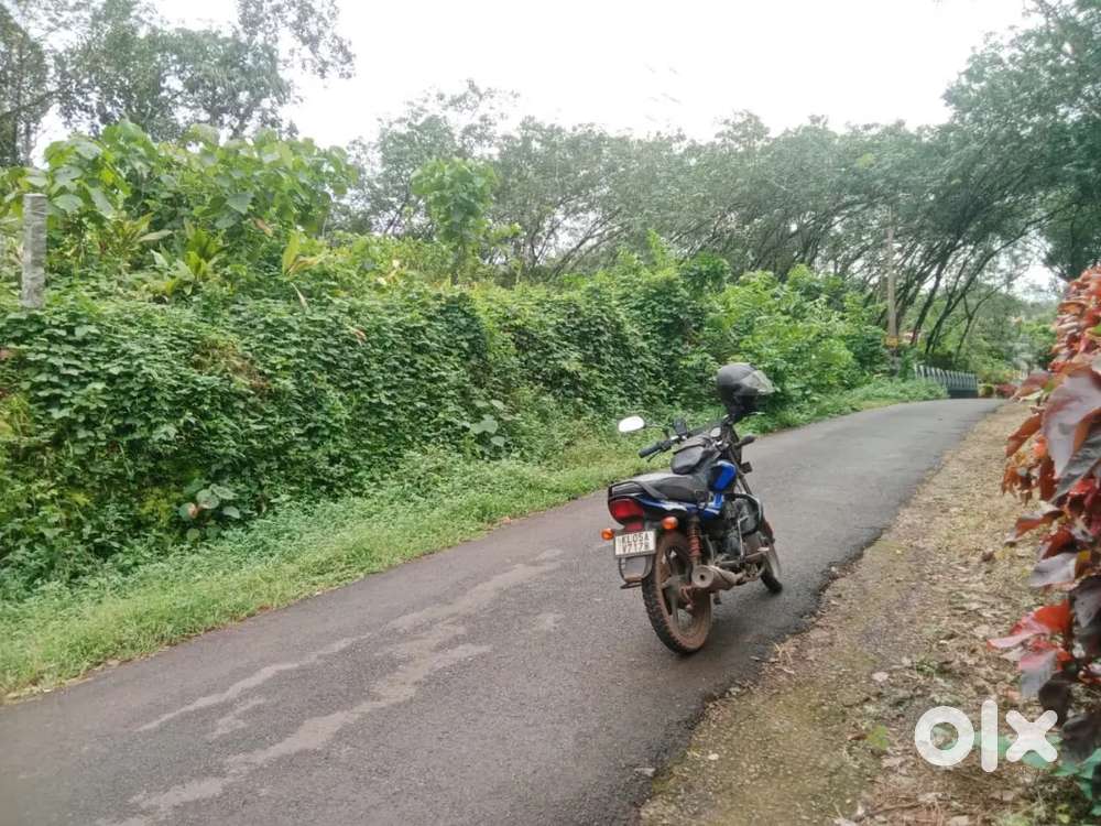 തോട്ടക്കാട് 15 cent plot.1.90 .lakh .