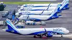 Cabin Crew/Airport Ground Staff Jobs In Indigo Airlines Apply Fast.
