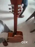 Guitar Vault EA20